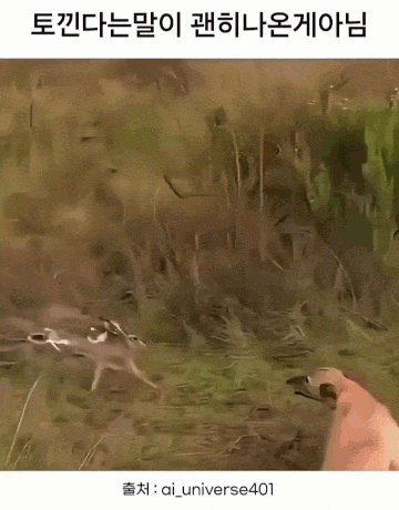 165549f43d781f788a1f196ad168bd6d_1787614572_3932.gif