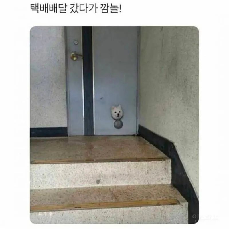 5bb273e14854f8647697b1a3de10af0d_1785683588_9028.png