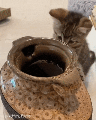 77d8cb9c23bbbf0a0dc530062596e03c_1788036046_1775.gif