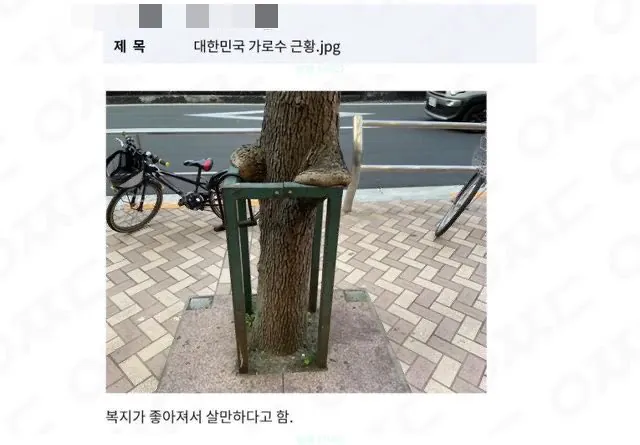 a2f5edbb74b10dde624e3a6a4c6aac4e_1786287839_3351.png