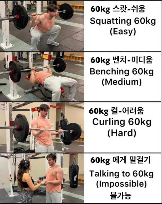 e51555b42d08309950fa51094a94506f_1788391110_2949.png