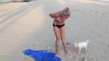 fd0f647bc38f061fdee68ea7383e64b4_1788736981_1548.gif