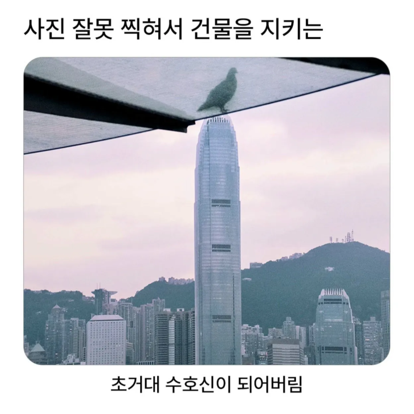 06e78cf7e7f77666fe867ea39c874f06_1788363188_2966.png