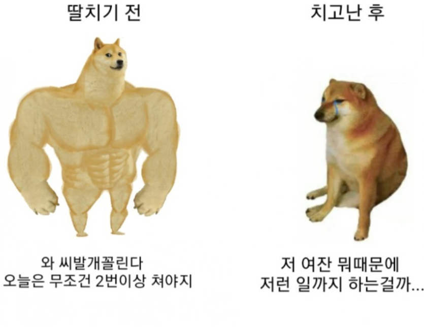 bb7b537d7e1435d25f4dc61ae3217d96_1788188575_6308.png