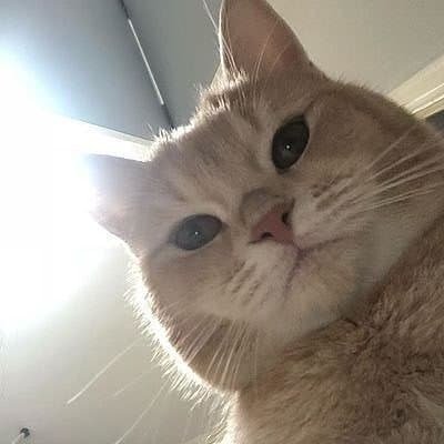 07be70467498563d1ba7aeb08dd1d353_1791212641_8757.jpg