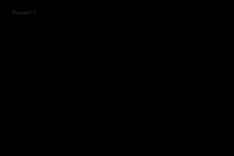 3011831efec292ae3263ddc62245af1f_1793213293_589.gif