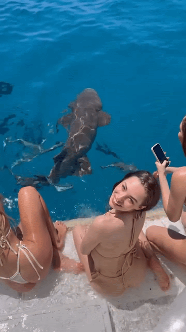 b79a2f98e93fbe5f52393dcac6f0661f_1791066358_5988.gif