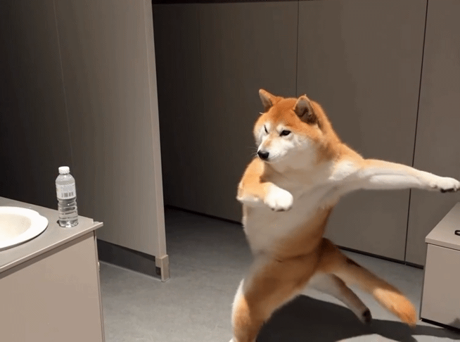 c858e6d782515a02a558a89027b5efb6_1792808605_124.gif