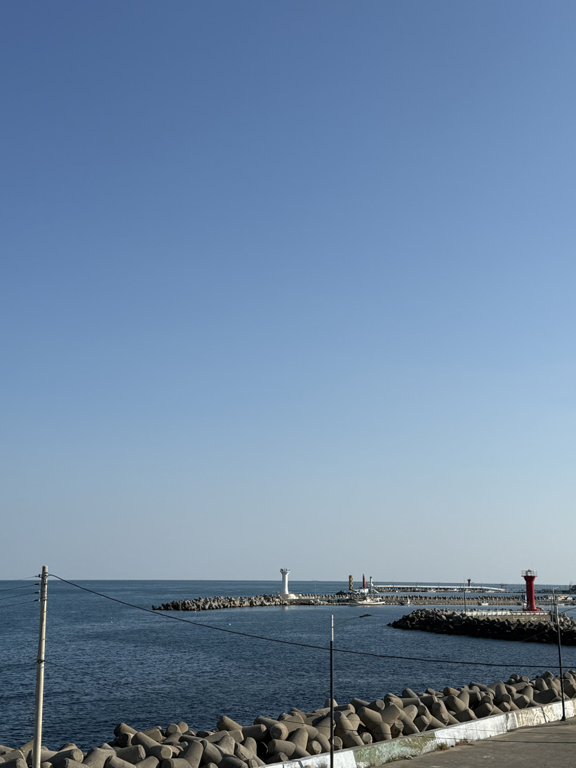 1257333a47c41166d5082c9e2c1efbc7_1791290113_9341.jpeg