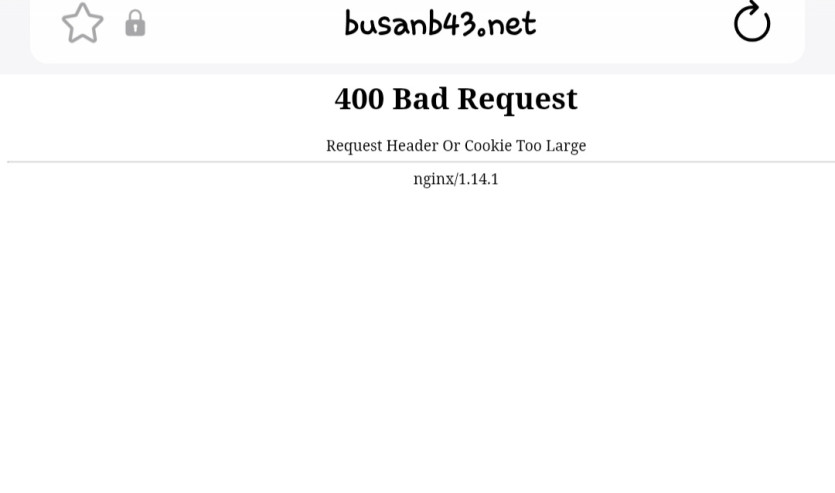 61eddb25568b4662ce8c662cef8db513_1791903907_9528.jpg