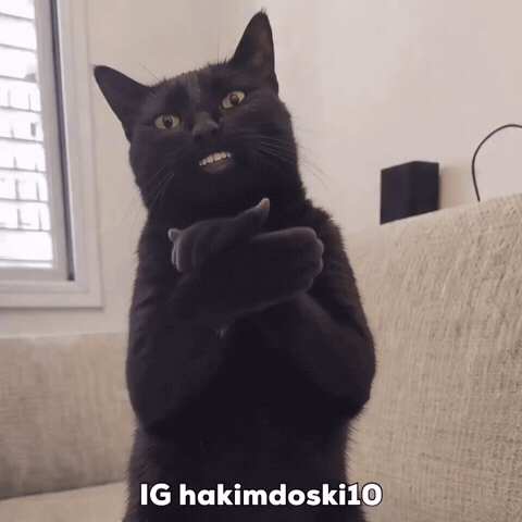 9f7268dc9f5a29d8bb28ba11b0a20a3e_1791353088_0542.gif